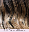 BALAYAGE WIG COLOR DESCRIPTIONS