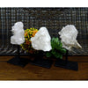 Crystal Quartz Cluster on Metal Stand