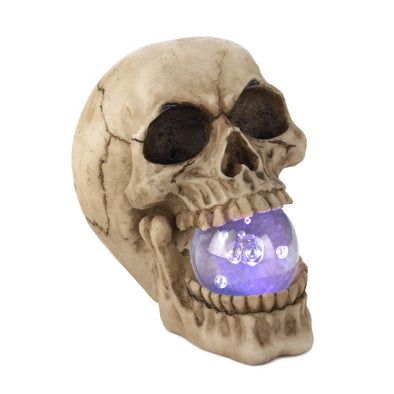 Skull with Light Up Orb Figurine Lamp